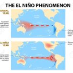 El Niño anomaly is growing rapidly, with a strong seasonal impact already seen in the forecast as we head into Fall and Winter 2023/2024