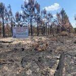 Arson caused largest wildfire in Louisiana history, which has already ravaged nearly 50 square miles: Investigators